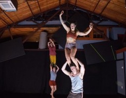 Almanac Dances Toward a Classical Ideal of Equality
