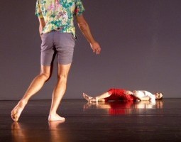 What I’m Seeing in this Year’s Fringe