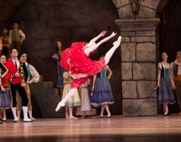 Don Quixote: Digging the Details