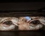 A Cross-species Movement Dialogue Between Agency and Vulnerability