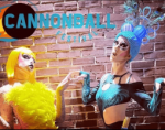 Who’s a Sexy Finch? 